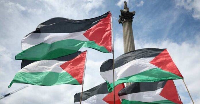 palestine-768x403