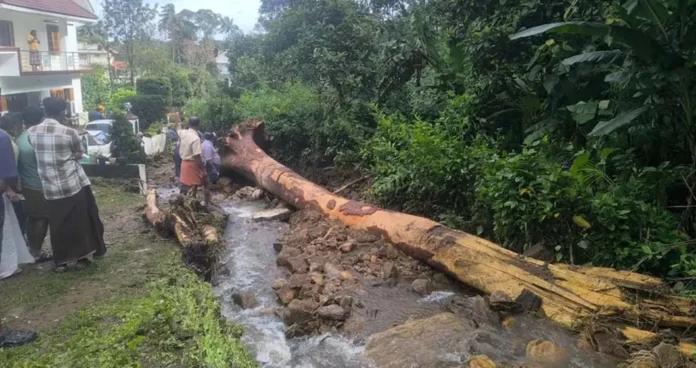 idukki,jpeg