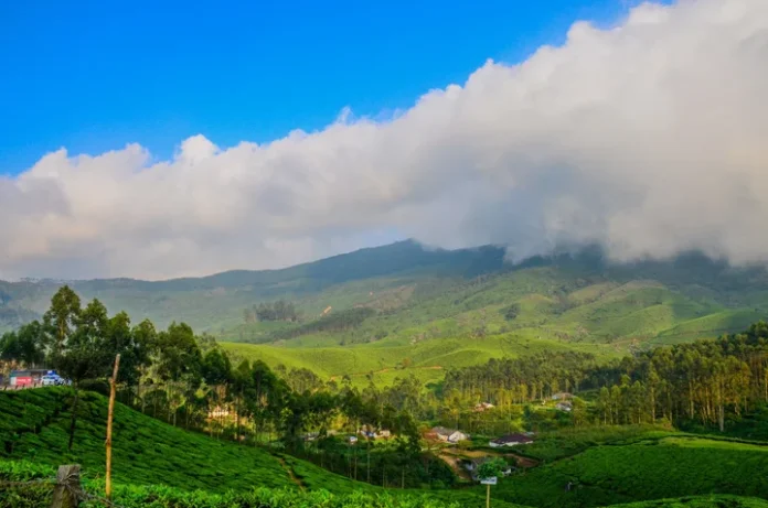 സൂര്യനെല്ലി കേസിന് 30 വയസ്